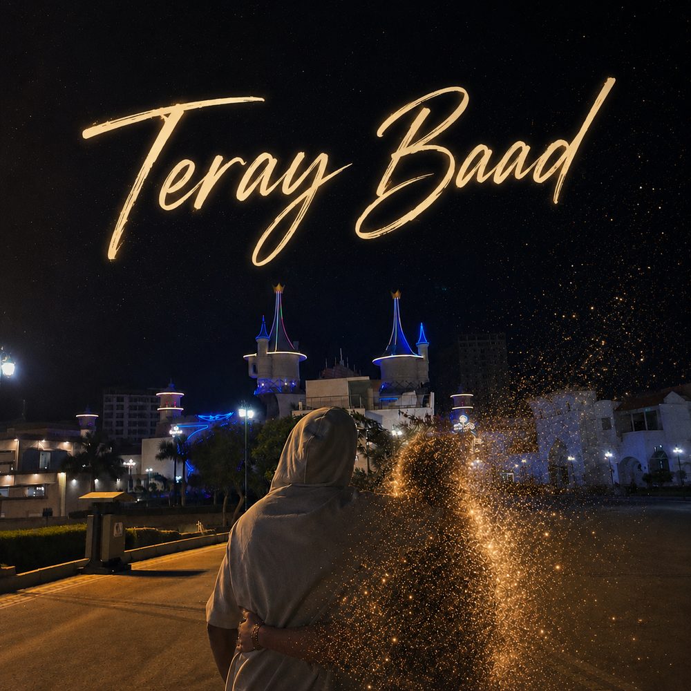 Teray Baad cover art